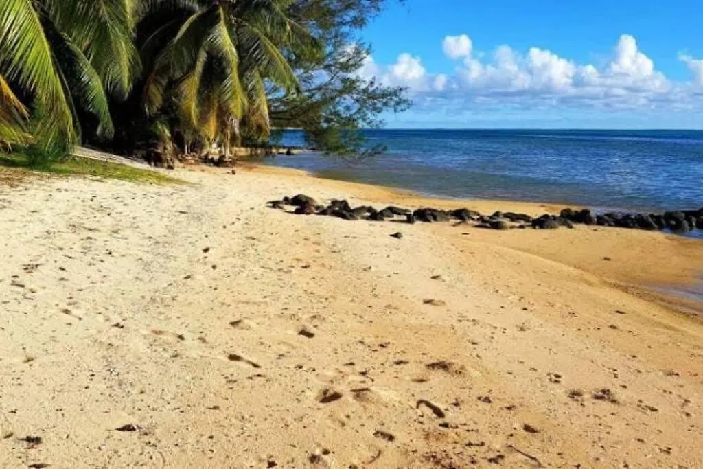 Sunsetview, Studio, Private Beach, Amazing Swim & Sunset Haapiti Appartement